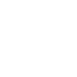 dp_bus_company_logo_white